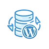 Web Development Service